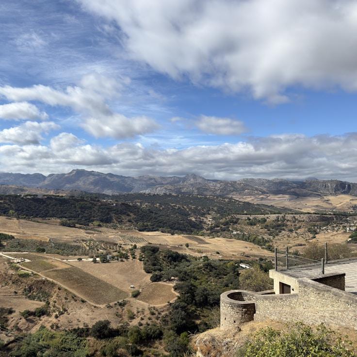 Family terraces and cafés for calm evenings in New York